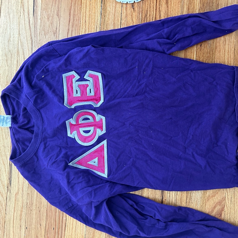 Delta Phi Epsilon Purple Longsleeve Size Large
